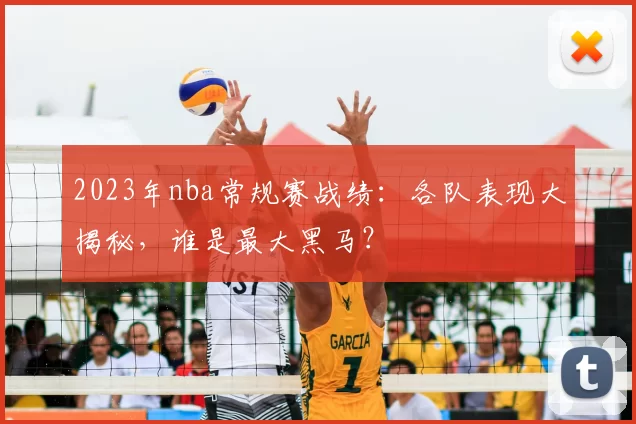 2023年nba常规赛战绩：各队表现大揭秘，谁是最大黑马？