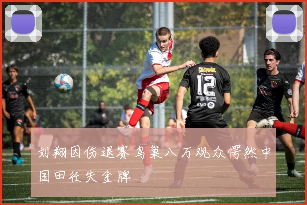 刘翔因伤退赛鸟巢八万观众愕然中国田径失金牌