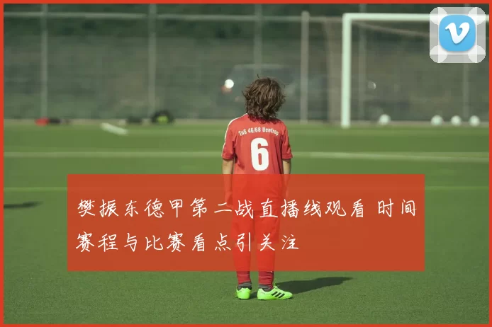 樊振东德甲第二战直播线观看 时间赛程与比赛看点引关注