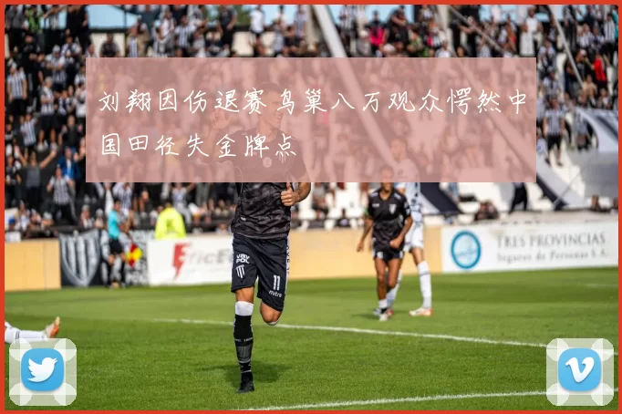 刘翔因伤退赛鸟巢八万观众愕然中国田径失金牌点