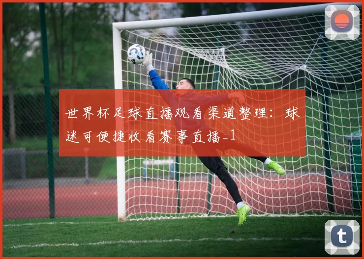 世界杯足球直播观看渠道整理:球迷可便捷收看赛事直播_1